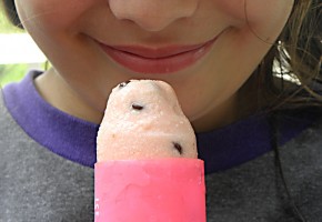 watermelonpop1