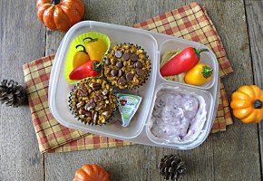 oatmealtogo1