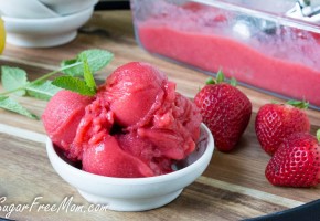 strawberry lemon sorbet6 (1 of 1)