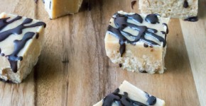 PB fudge4 (1 of 1)
