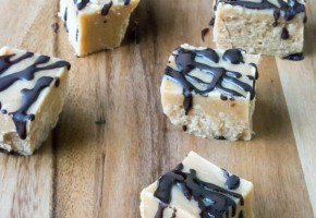 PB fudge4 (1 of 1)