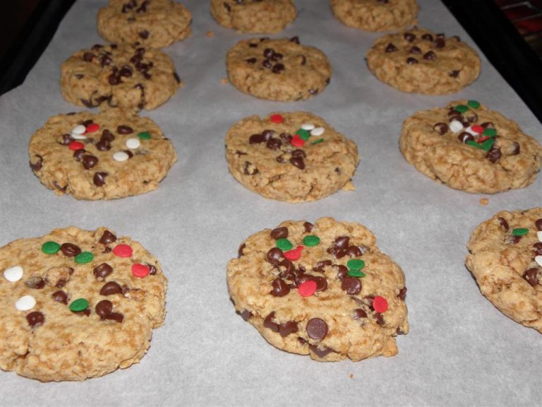 Chocolate Chip Refined Sugar- Free Cookies