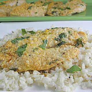 tilapia1