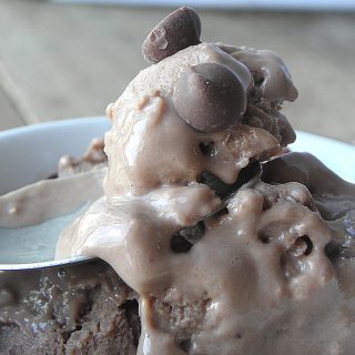 Healthy Low Fat Chocolate Frozen Yogurt {SF}