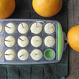 Orange Vanilla Frozen Yogurt Mini Pops