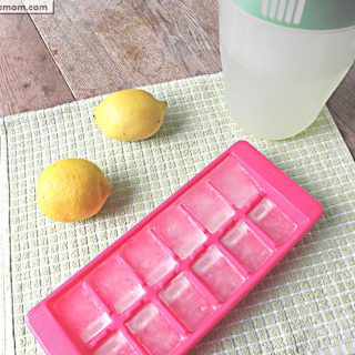 Lemonade Ice cubes: No Sugar Added
