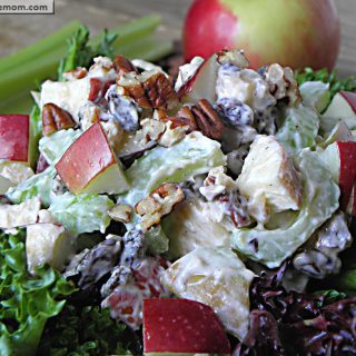 Healthier Mayo Free Waldorf Salad: Vegetarian & Gluten Free