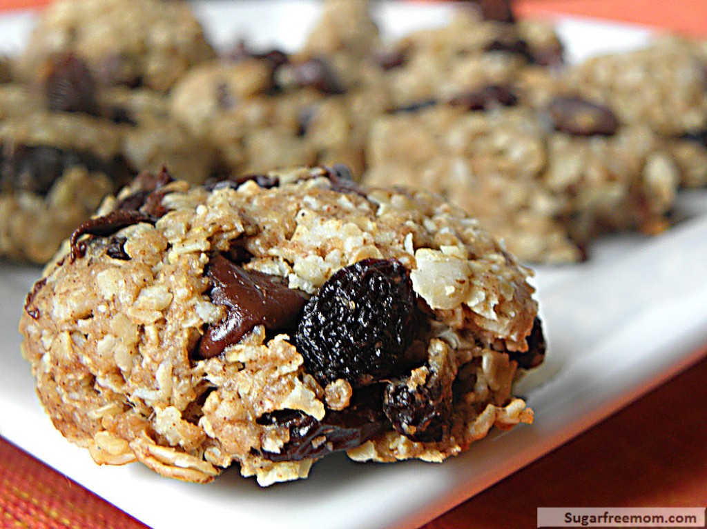 Recipes For Sugar Free Cookies - Simple and Quick Chocolate Chip Cookie Bars (Gluten Free ...