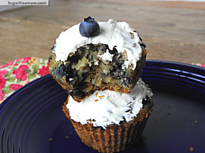 Blueberry Oatmeal Muffins Gluten & Sugar Free - Sugar-Free Mom