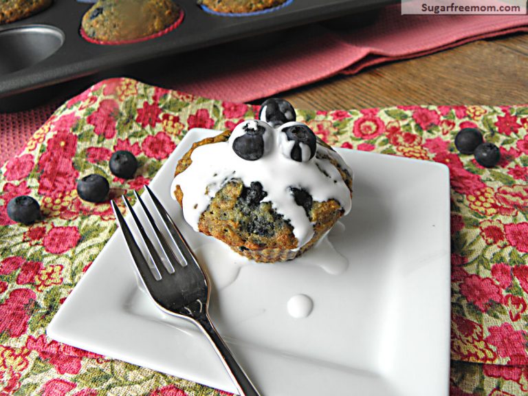 Blueberry Oatmeal Muffins {Gluten & Sugar Free}