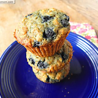 Blueberry Oatmeal Muffins {Gluten & Sugar Free}