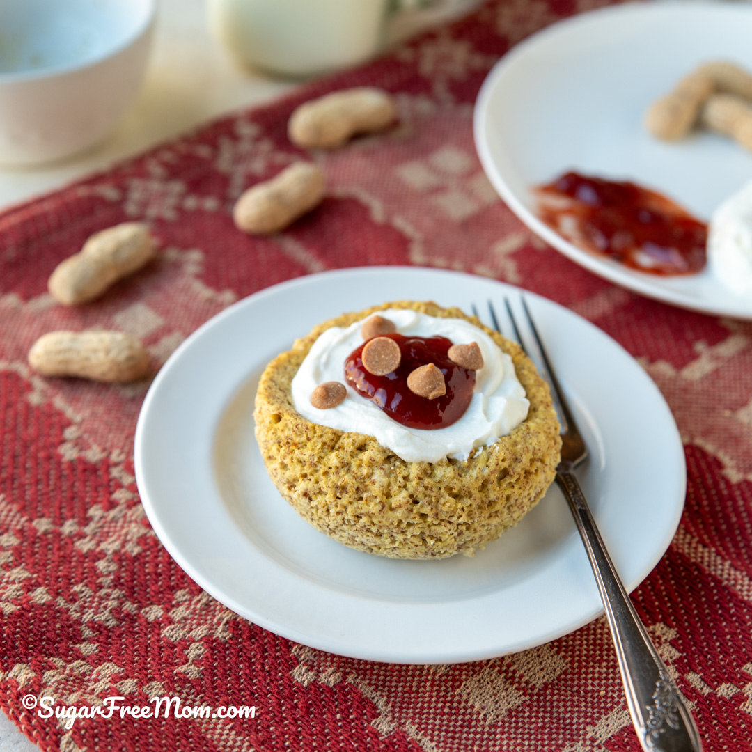 Sugar Free Low Carb High Protein Mug Muffin