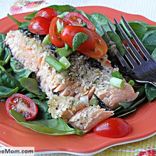 salmon2