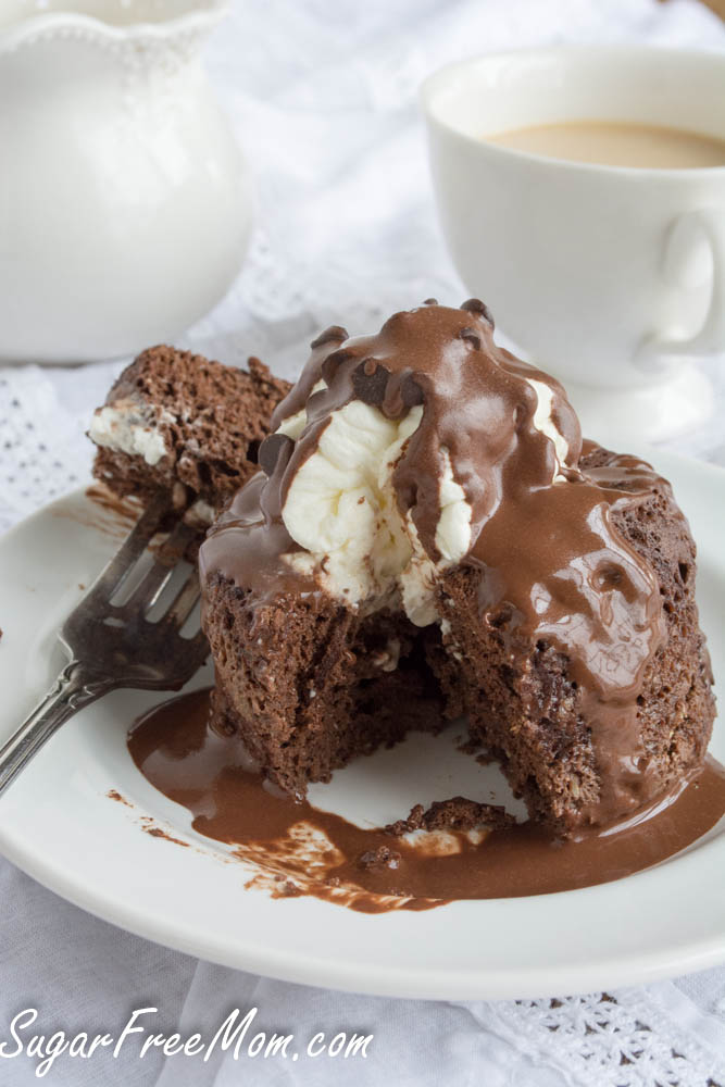 1min chocolate cake5 (1 of 1)