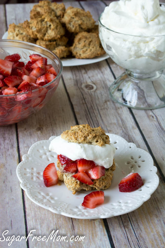 strawberry shortcake1 (1 of 1)