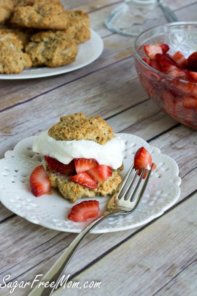 strawberry shortcake3 (1 of 1)