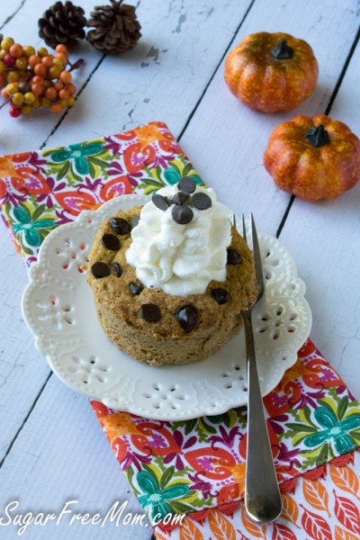 pumpkin chocolate chip cake3 (1 of 1)