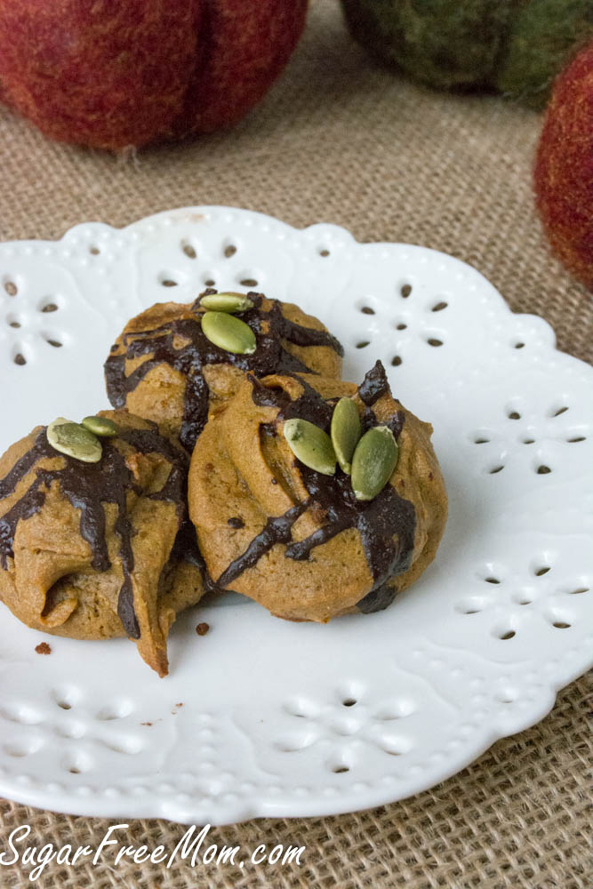Flourless Low Carb Pumpkin Cookies