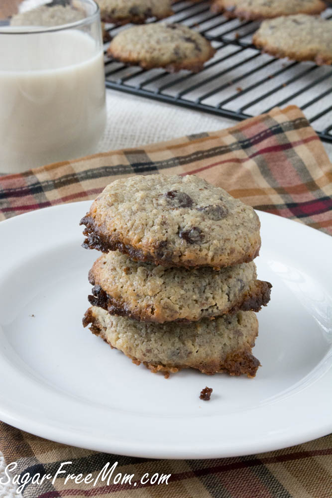 Unless you douse the grain free cookies in sprinkles, as you know i love to do. Sugar Free Cookie Recipe : Sugar Free Grain Free Chocolate Chip Cookies