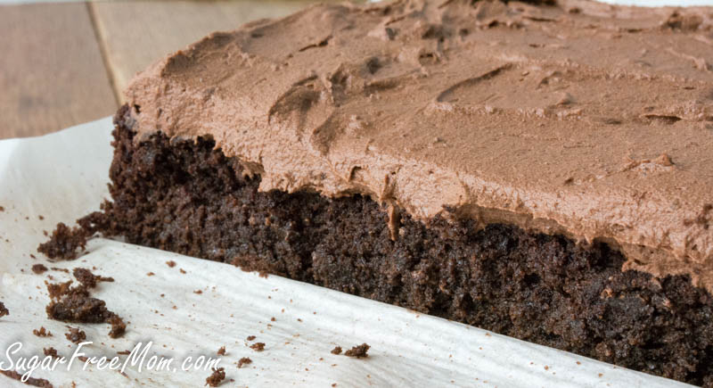 Sugar Free Low Carb Chocolate Crazy Cake Egg Free Dairy Free Nut Free Grain Free Gluten Free