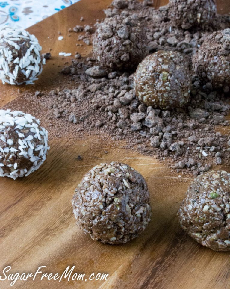 No Bake Sugar Free Chocolate Protein Bites (Grain Free, Low Carb, Nut Free)