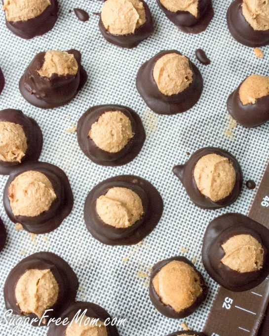 buckeyes2 (1 of 1)