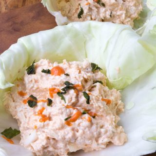 buffalo chicken salad7 (1 of 1)