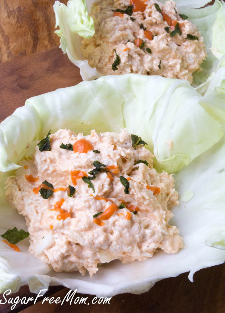 buffalo chicken salad7 (1 of 1)