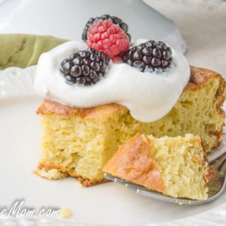 Sugar-Free Low Carb Sponge Cake (Keto, Gluten Free)