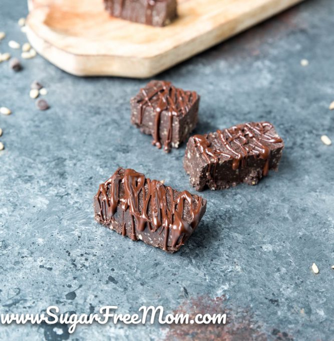 Sugar Free Low Carb Keto Chocolate Protein Bars (Nut Free)
