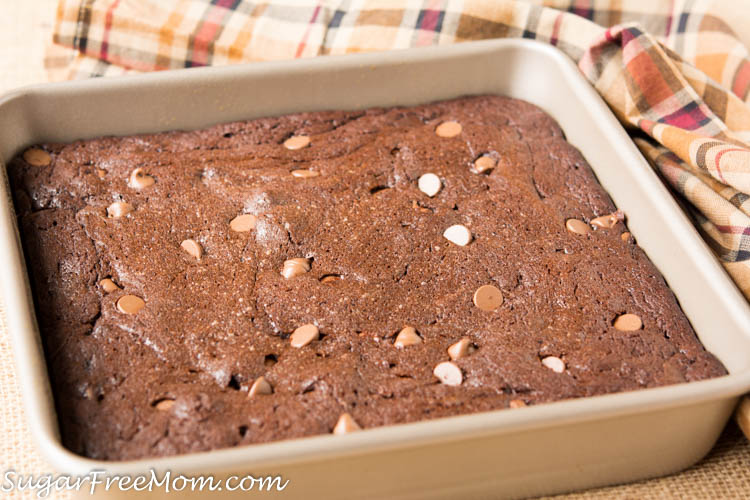 Sugar-Free Low Carb Fudgey Brownies (Nut Free)