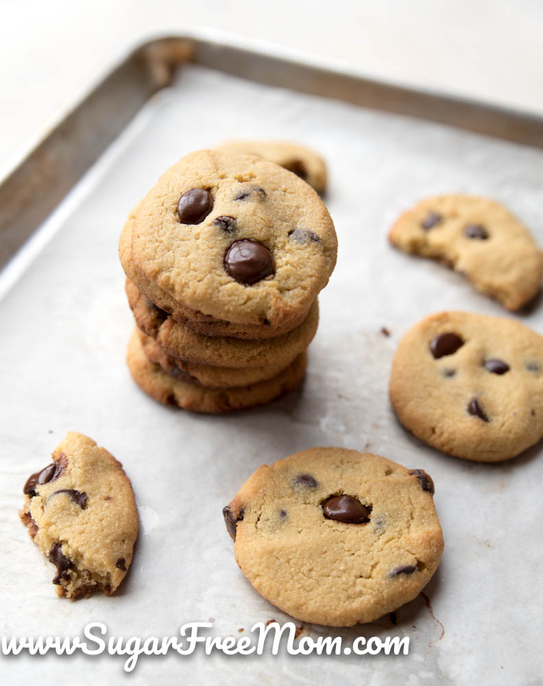 Sugar Free Low Carb Chocolate Chip Cookies Keto Nut Free