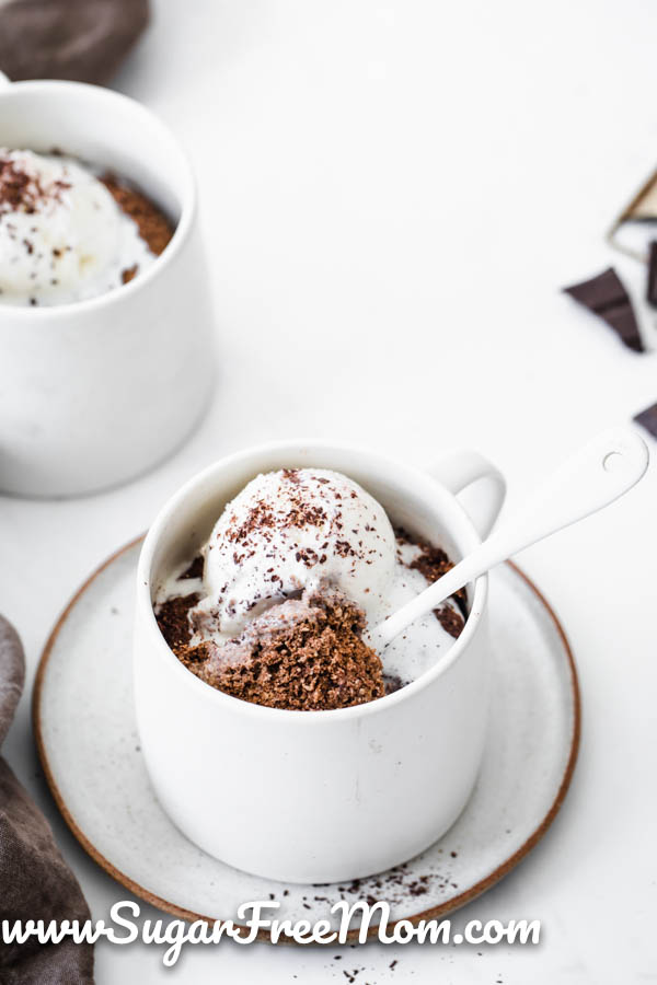 Low Carb Chocolate Pumpkin Spice Mug Cake