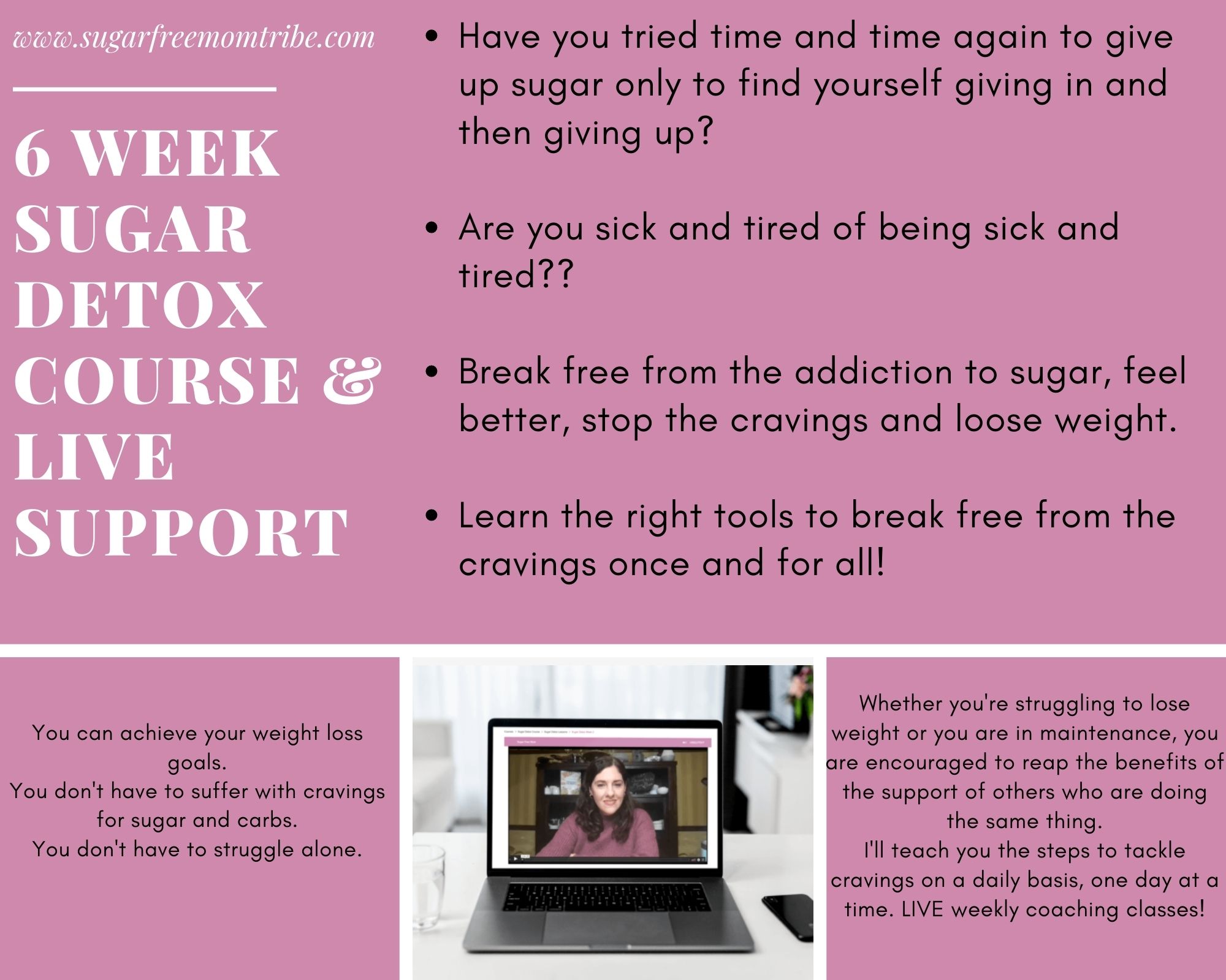 6 Week Sugar Detox Course with Live Weekly Support
