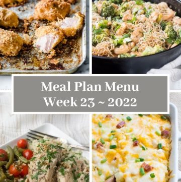 Meal Plan Menu Week 23 2022 - Pinterest