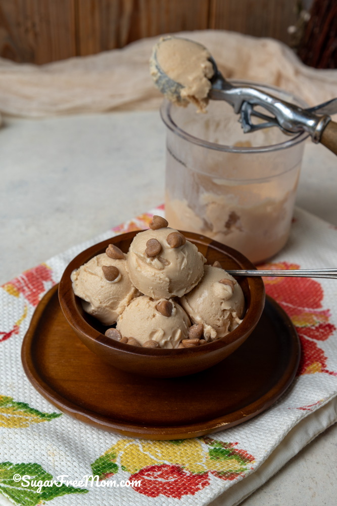 If you’re craving a frozen treat that’s indulgent yet keeps your low-carb or keto goals on track, this Sugar Free Low Carb Keto Peanut Butter Frozen Yogurt is a delicious game-changer.