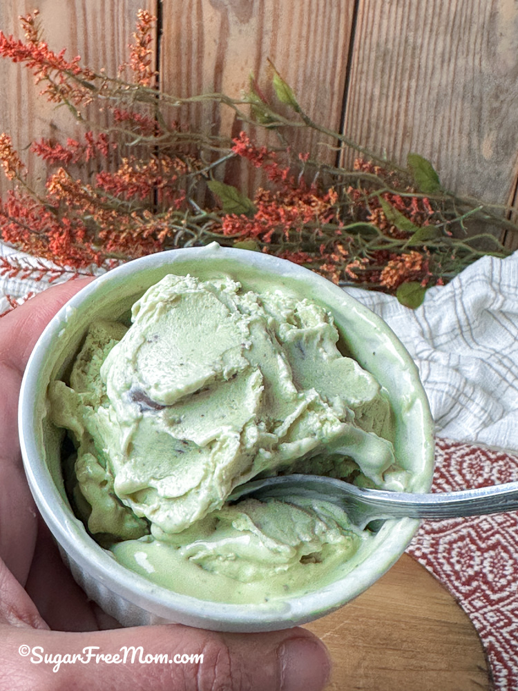 Creamy Keto Mint Chip Ice Cream