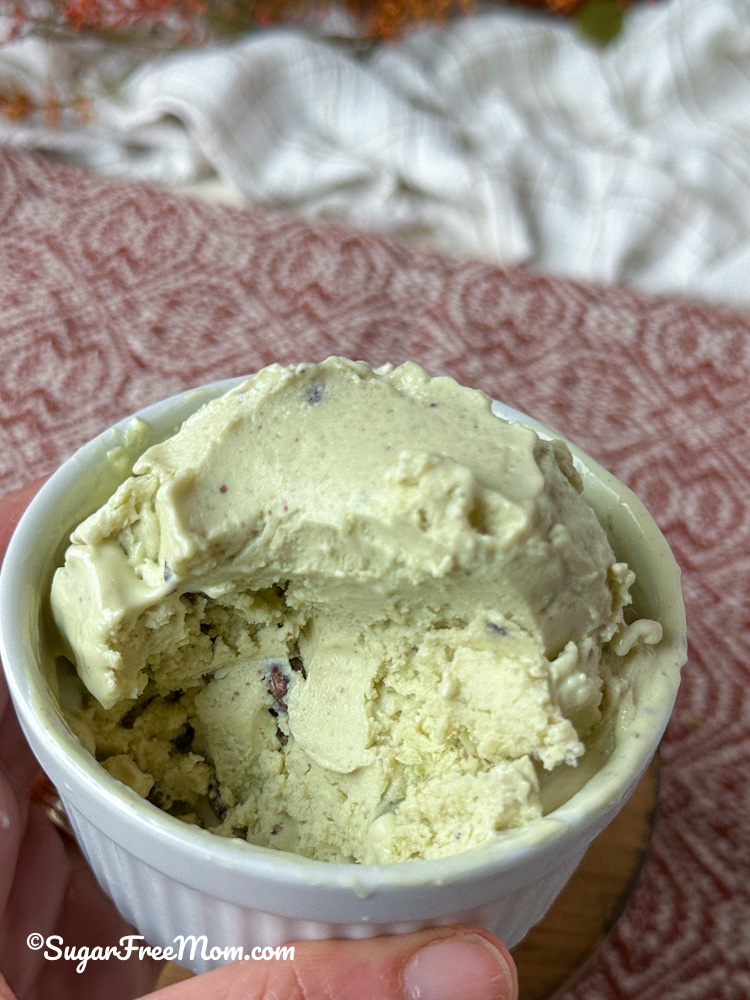Sugar Free Low Carb Mint Chip Ice Cream