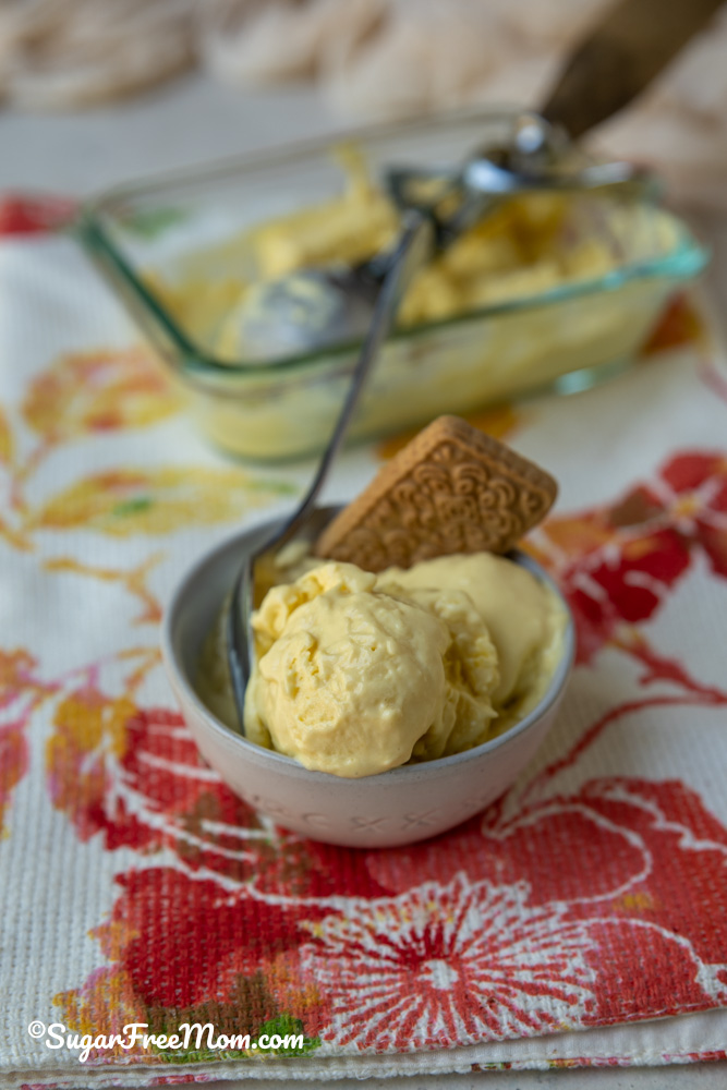 a couple of scoops in a bowl of low carb high protein mango ice cream