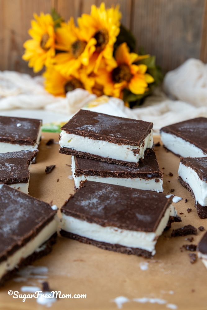 two stacked keto ice cream sandwiches
